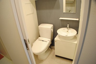Toilet. Also it comes with a separate basin