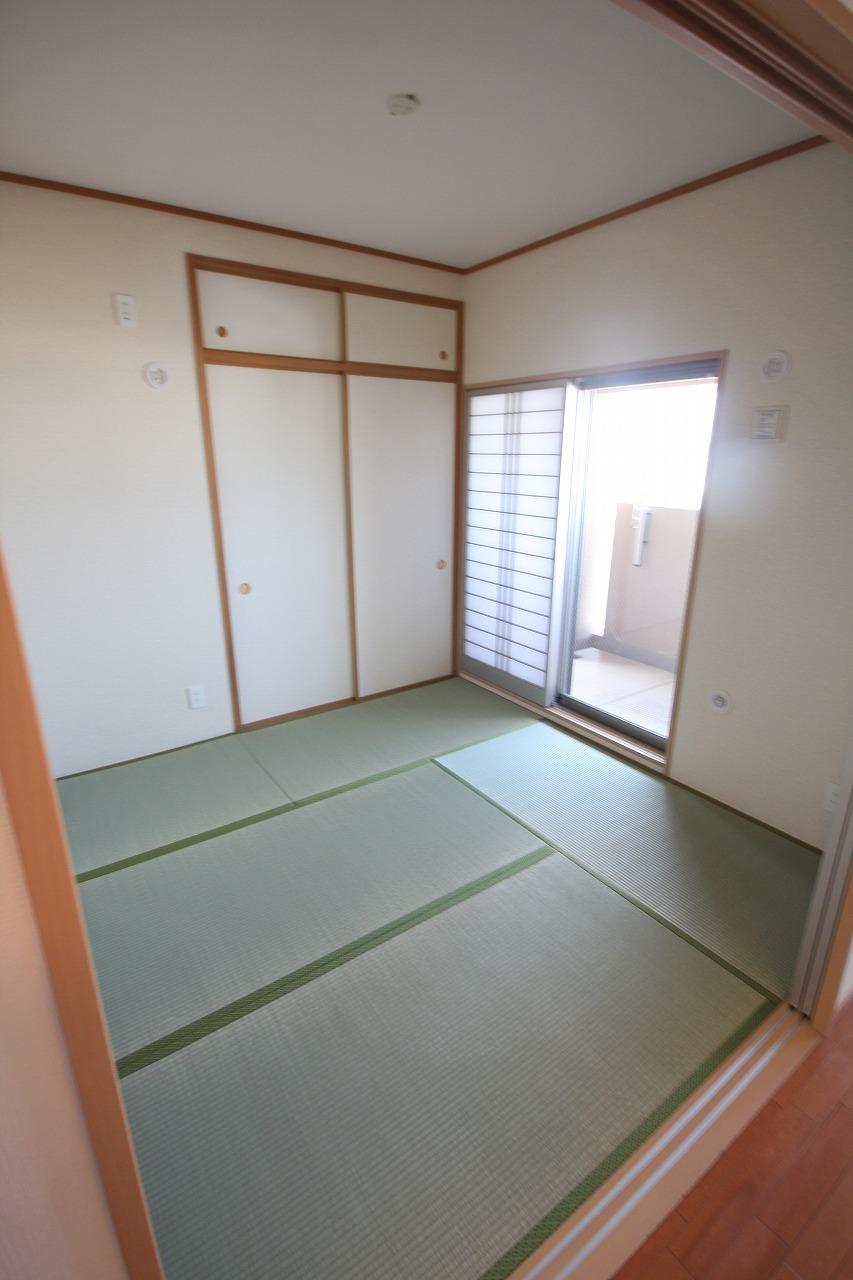 Other introspection. Living next to the beautiful tatami rooms