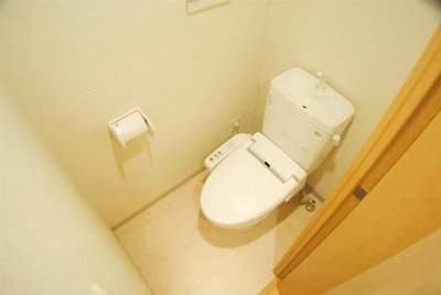 Toilet. There is also hot water cleaning toilet seat