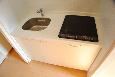 Kitchen. Convenient two-burner IH with stove