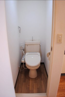 Toilet. Toilet