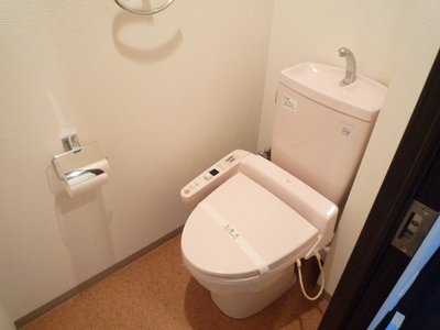 Toilet. Washlet toilet.