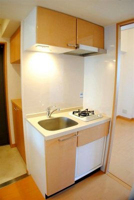 Kitchen. Gasukitchin (mini-refrigerators)