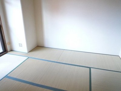 Living and room. Beautiful tatami. 