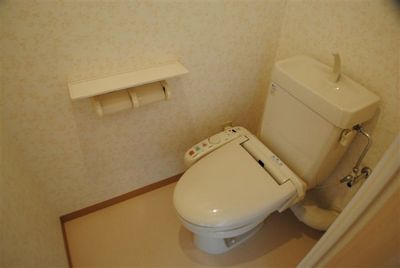 Toilet. Bidet with property