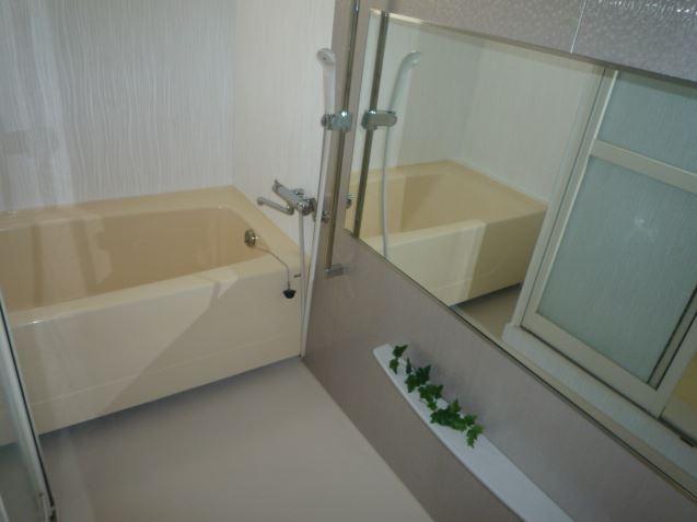 Bathroom. Indoor (12 May 2013) Shooting