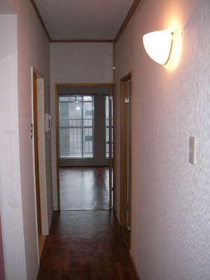 Entrance. Hallway of the side lighting be fashionable. 