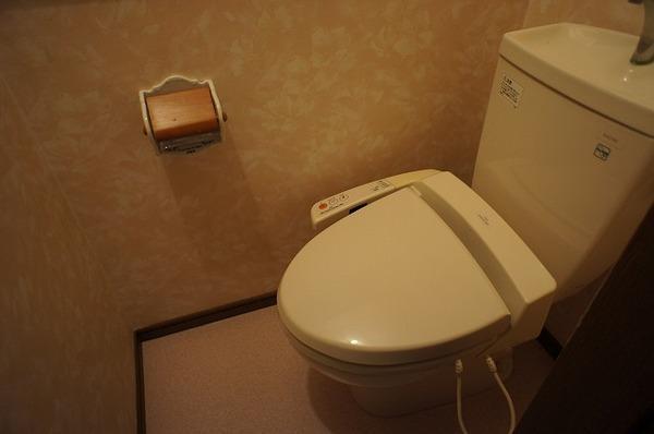 Toilet. It is a toilet with a warm water washing toilet seat