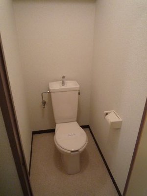 Toilet. Toilet