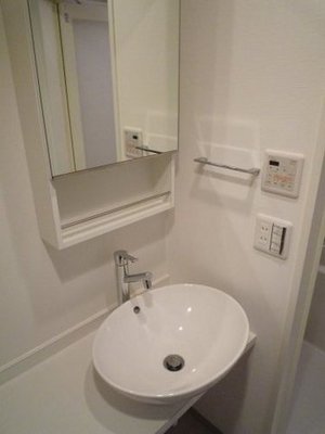Washroom. It is a stylish basin!