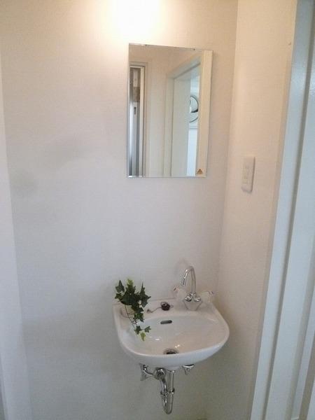 Wash basin, toilet. Fine basin space will produce a clear