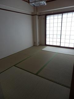 Non-living room. Indoor (September 2013) Shooting