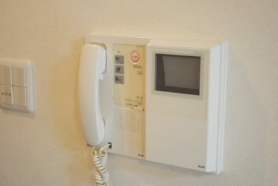 Security. Monitor phone