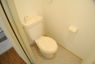 Toilet. Toilet