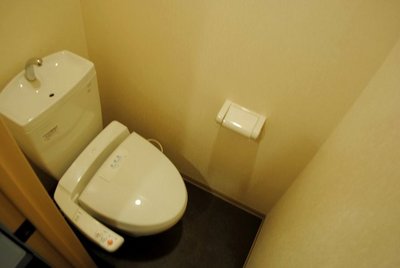 Toilet. Also it comes with a cleaning heating toilet seat