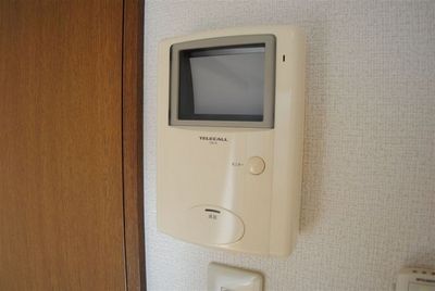 Security. Monitor with intercom