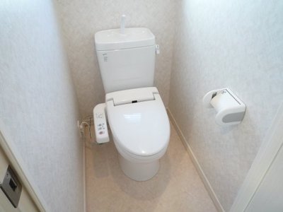 Toilet. Bidet