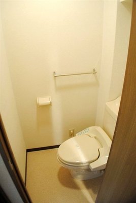 Toilet. Glad washing heating toilet seat to the toilet