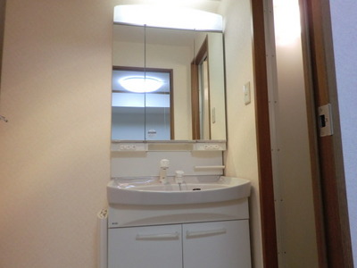 Washroom. Shampoo dresser