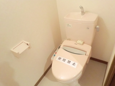 Toilet. Man of ally Washlet