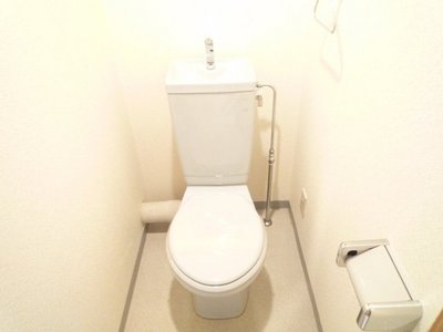 Toilet. WC