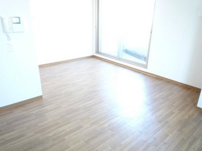 Living and room. Full-scale flooring