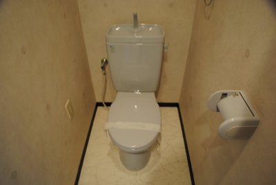 Toilet. WC