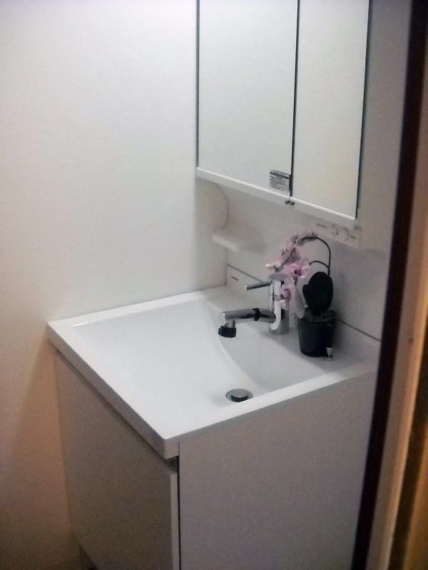 Wash basin, toilet. It was replaced shampoo dresser