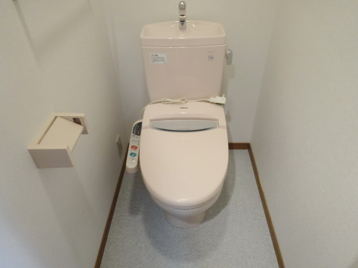 Toilet. Bidet