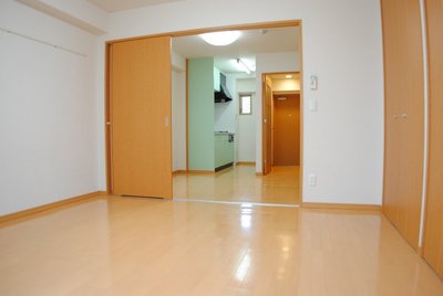 Living and room. Full-scale flooring