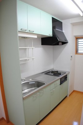 Kitchen. System kitchen