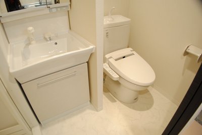 Toilet. Stylish American Separate