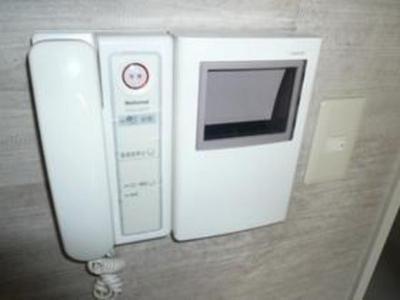 Security. Intercom with TV monitor