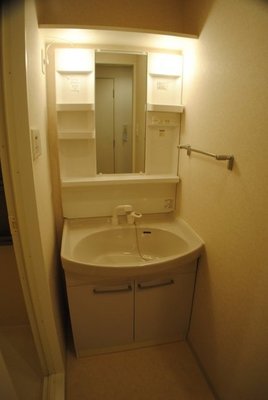 Washroom. Shampoo dresser