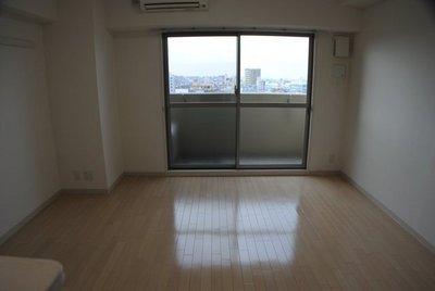 Living and room. Full-scale flooring