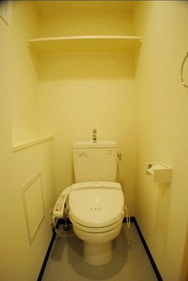 Toilet. Also it comes with a cleaning heating toilet seat