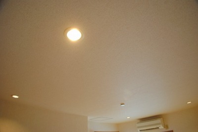 Other Equipment. Downlight