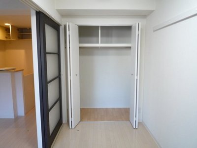 Living and room. Bedroom closet