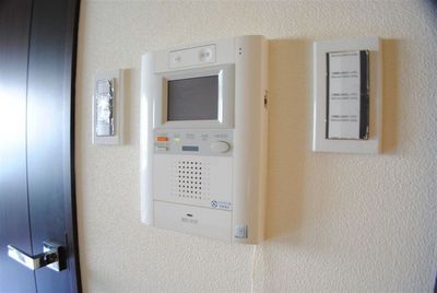 Security. Monitor with intercom