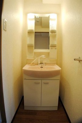 Washroom. Comfortable your life with a shampoo dresser