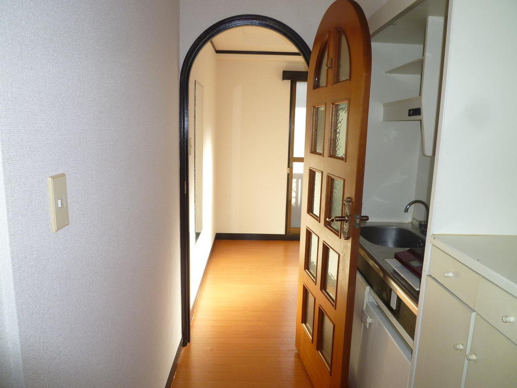 Entrance. Corridor