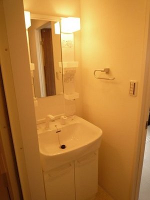 Washroom. Wash basin with shampoo dresser.