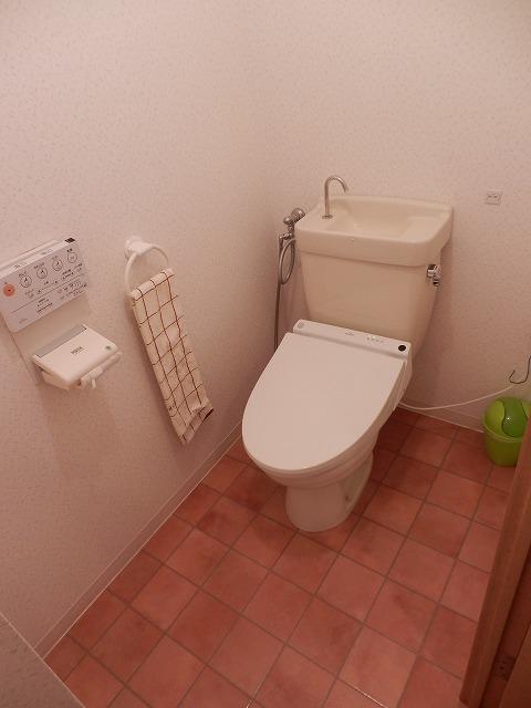 Toilet. Indoor (September 2013) Shooting