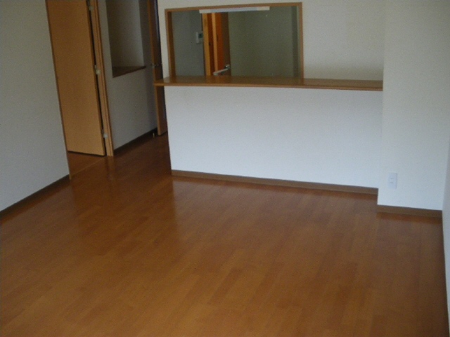 Living and room. LDK (counter kitchen)