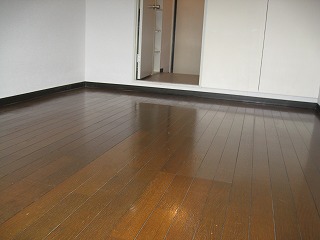 Living and room. Western-style (flooring)