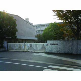 Junior high school. Sakaishiritsu south Hachishita until junior high school 47m