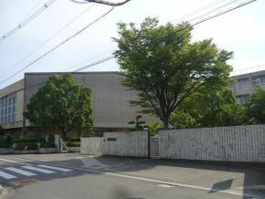 Junior high school. Sakaishiritsu south Hachishita until junior high school 1029m