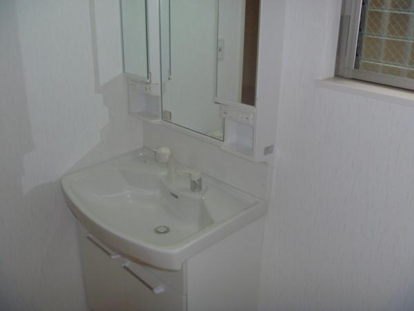 Wash basin, toilet. Smooth dressing in the wash basin shower