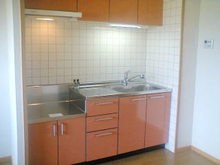 Kitchen. Two-burner gas stove installation Allowed Kitchen