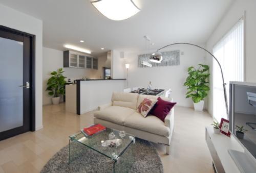 Same specifications photos (living). Living specification example